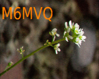 57n-sstv-m6mvq.png