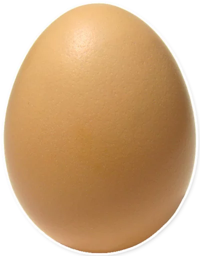 eggggg.png